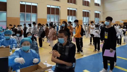 帕劳政府爆料了吗最新消息,揭秘神秘事件真相! 第3张 帕劳政府爆料了吗最新消息,揭秘神秘事件真相! 第3张